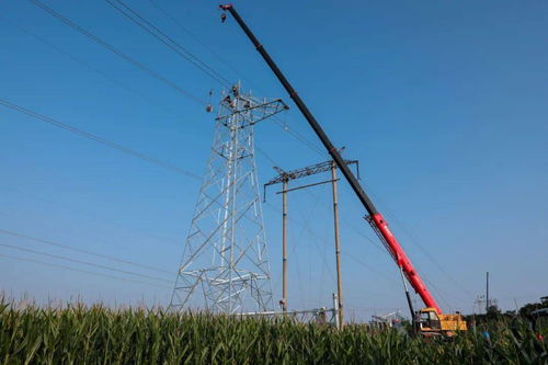 安陽供電公司 傾情服務重點民生工程，以人工裝卸服務答好災后重建電力答卷